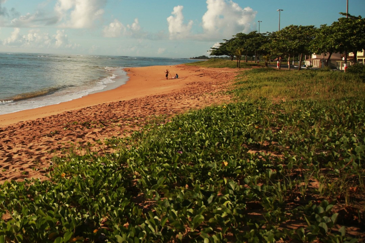 Aracruz fortalece compromisso com o meio ambiente ao revisar Projeto Orla