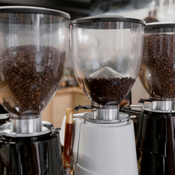 Evento valoriza café, história e identidade do Caparaó em Pedra Menina